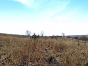 СТ Грузевицький-1 (г. Хмельницкий, Гречани) - Продається сільськогосподарська ділянка, 600 $ за сотку - АФНУ