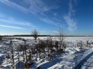 ділянка №282 (с. Микуличи, Бородянский район) - Продається ділянка під забудову, 10000 $ - АФНУ