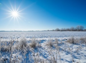 не призначена (с. Олеевка, Житомирский район) - Продається сільськогосподарська ділянка, 3500 $ - АФНУ