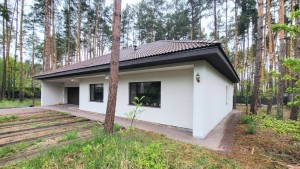 ул. Миру (с. Пряжов, Житомирский район) - Продається будинок, 176000 $ - АФНУ