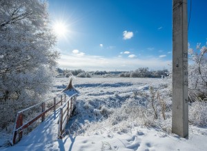 вул.Мельниківська (пгт. Гостомель, г. Ирпень) - Продається сільськогосподарська ділянка, 2000 $ - АФНУ