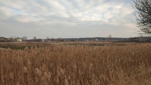 немає даних (с. Мощун, Киево-Святошинский район) - Продається сільськогосподарська ділянка, 10000 $ - АФНУ