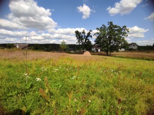 пер. Шевченко (с. Пряжов, Житомирский район) - Продається сільськогосподарська ділянка, 7000 $ - АФНУ
