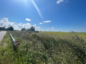 не призначена (с. Мотижин, Макаровский район) - Продається сільськогосподарська ділянка, 108000 $ - АФНУ