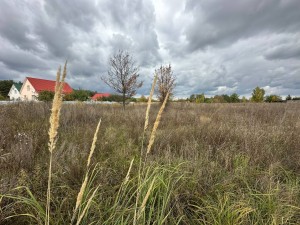вул.Пратва, 16 (с. Блиставица, Бородянский район) - Продається ділянка під забудову, 25000 $ - АФНУ
