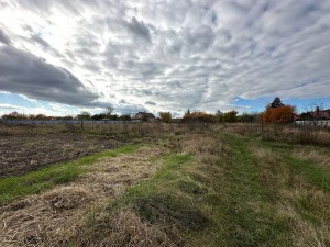Блиставицька сільська рада (с. Блиставица, Бородянский район) - Продається сільськогосподарська ділянка, 38000 $ - АФНУ