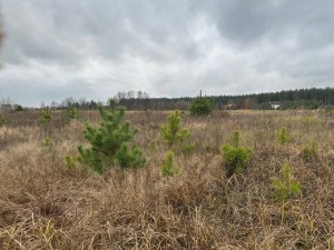 не визначена (с. Блиставица, Бородянский район) - Продається ділянка під забудову, 28000 $ - АФНУ