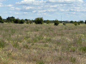 не призначена (с. Лубянка, Бородянский район) - Продається сільськогосподарська ділянка, 12500 $ - АФНУ