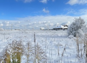 вул. Вишнева, 18 (пгт. Гостомель, г. Ирпень) - Продається ділянка під забудову, 42000 $ - АФНУ
