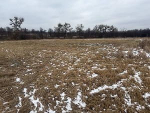 вул.Лісова, 36 (с. Мироцкое, Киево-Святошинский район) - Продається ділянка під забудову, 8000 $ - АФНУ