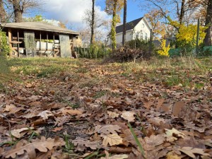 вул.Європейська (пгт. Ворзель, г. Ирпень) - Продається ділянка під забудову, 30000 $ - АФНУ