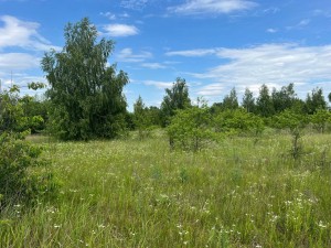 не призначена (с. Михайловка-Рубежовка, Киево-Святошинский район) - Продається сільськогосподарська ділянка, 5000 $ - АФНУ