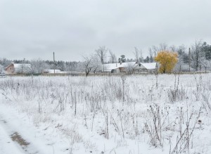 вул.Моторна, 4 (пгт. Новогуйвинское, Житомирский район) - Продається ділянка під забудову, 8000 $ - АФНУ