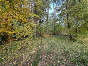 вул.Котляревського, 53 (пгт. Ворзель, г. Ирпень) - Продається ділянка під забудову, 47000 $ - АФНУ