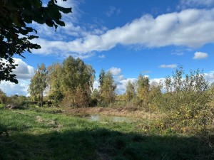 вул.Паліїв, 19 (с. Козинцы, Бородянский район) - Продається ділянка під забудову, 8500 $ - АФНУ