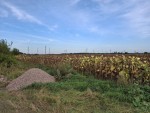 не призначена (с. Олеевка, Житомирский район) - Продається сільськогосподарська ділянка, 3500 $ - АФНУ