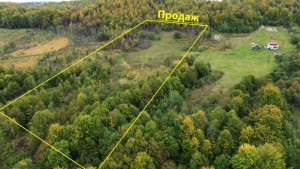 ур.Алізлово (с. Акрешоры, Косовский район) - Продається сільськогосподарська ділянка, 35000 $ - АФНУ