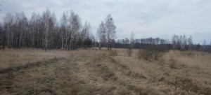 не призначена (с. Сувид, Вышгородский район) - Продається сільськогосподарська ділянка, 4000 $ - АФНУ