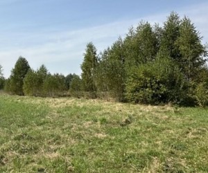 ул. Лісова (с. Агрономическое, Винницкий район) - Продається ділянка під забудову, 17500 $ - АФНУ